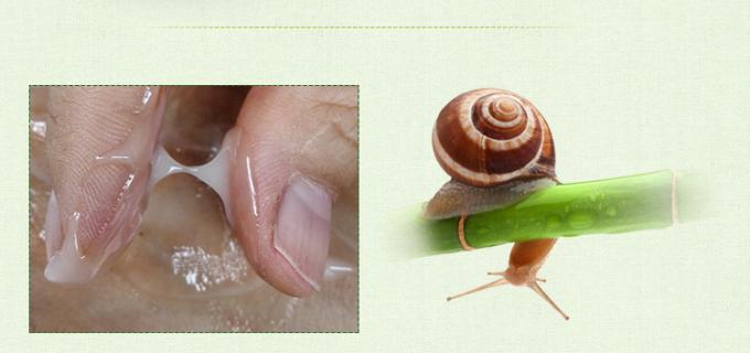 Snail Extract Whitening Anti Aging Face Cream Anti Wrinkle With Vanda Coerulea